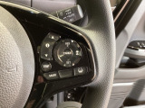 クルーズコントロールを装備しています。高速道路などで一定の速度で走ってくれるので運転が楽ですよ!速度を設定できますので、スピードの出しすぎにも注意できます。