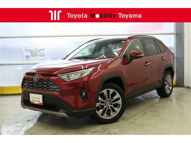 RAV4  2.0 G Zパッケージ 4WD