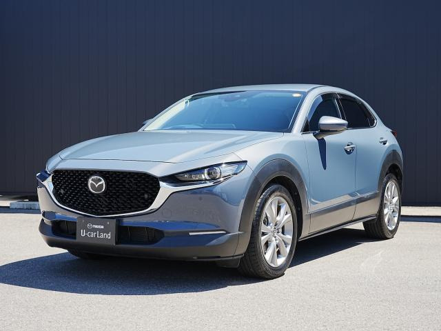 CX-302.0 20S プロアクティブ