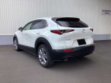 CX-30 2.0 20S 