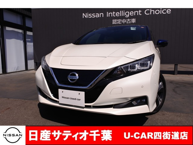 リーフ G 