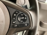 クルーズコントロールを装備しています。高速道路などで一定の速度で走ってくれるので運転が楽ですよ!速度を設定できますので、スピードの出しすぎにも注意できます。