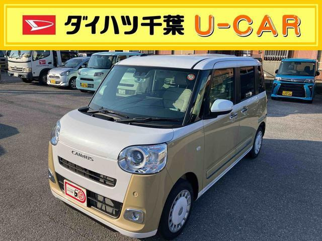 ムーヴキャンバス  ストライプス G