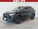 人気のあるRAV4の特別仕様車!4WDです!日常でもレジャーでも楽しめますよ!
