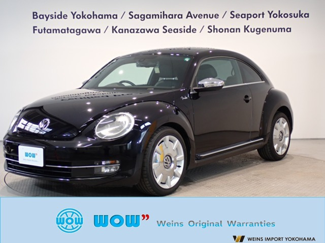 ザ・ビートル フェンダー エディション 