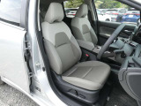 高級感のある上質なシートです。内装色はワイマナラーになります。