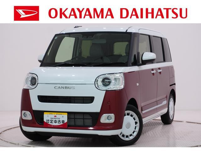 ムーヴキャンバス  ストライプス G