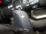 マニュアル車のような感覚で、ワインディングロードでも車を操れるパドルシフト付きです。長い下り坂でのエンジンブレーキや、高速道路の合流の際の加速も思いのままです。