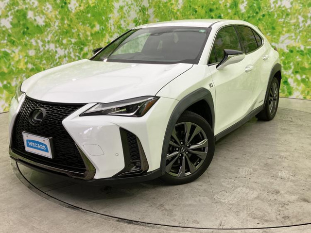 UX 250h Fスポーツ 