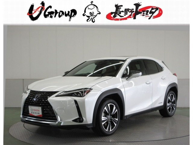 UX 250h バージョンC 