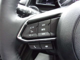 オーディオの音量やチャンネル操作ができるスイッチが、ハンドルに付いています。運転中でも、操作が行えて非常に安全・便利です!