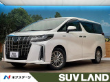 禁煙車 メーカーナビ リヤエンターテイメントシステム 全周囲カメラ