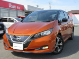 リーフe+Gプロパロット 本革&シートヒーター 車検整備付入荷になりました