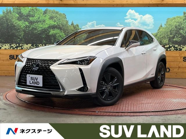 UX 250h バージョンC 