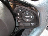 クルーズコントロールを装備しています。高速道路などで一定の速度で走ってくれるので運転が楽ですよ!速度を設定できますので、スピードの出しすぎにも注意できます