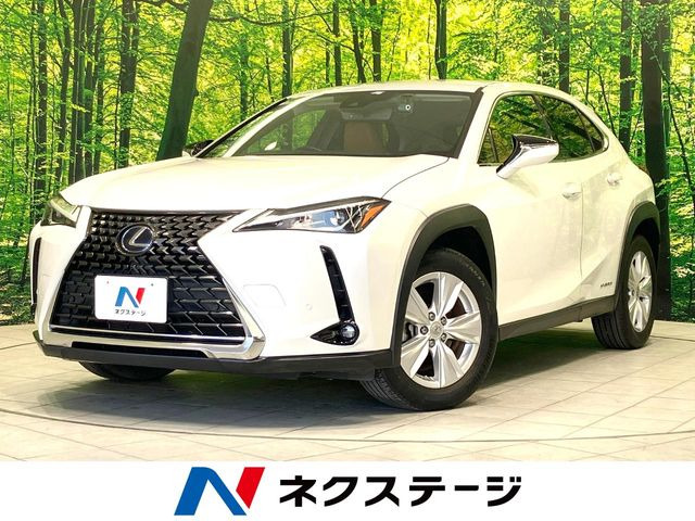 UX 250h バージョンC 