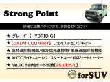 【DAMD COUNTRY】フェイスチェンジキット・誤発進抑制機能・車線逸脱抑制機能・AUTOライト・キーレススマートキー・前席シートヒーター