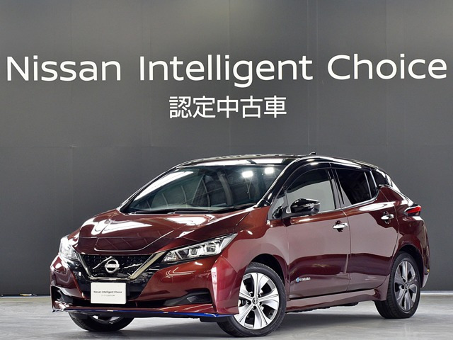 リーフ  e+ アーバンクロム