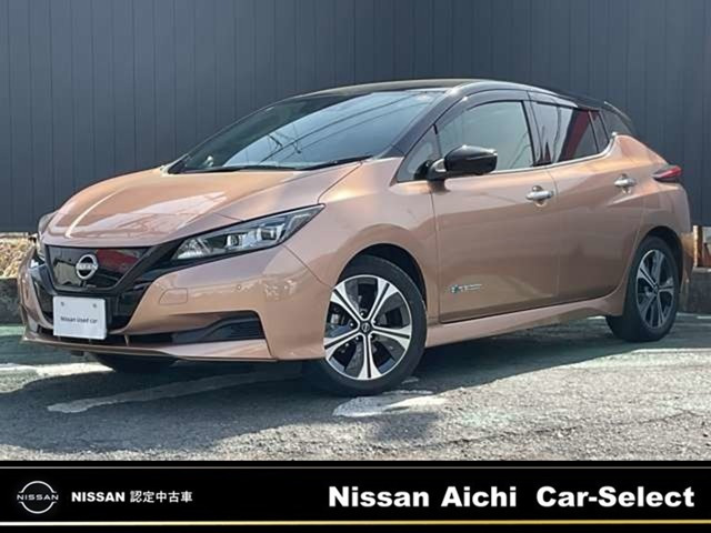 リーフ  X Vセレクション