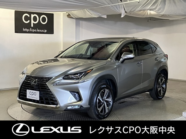 NX 300 Iパッケージ 