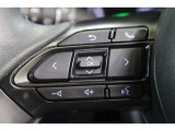 ステアリングスイッチでハンズフリー電話や音声認識、オーディオ操作やマルチインフォメーションディスプレイ内の表示切替えなどが出来ます。走行中に視線を逸らさず出来る手元操作は安全運転につながります。