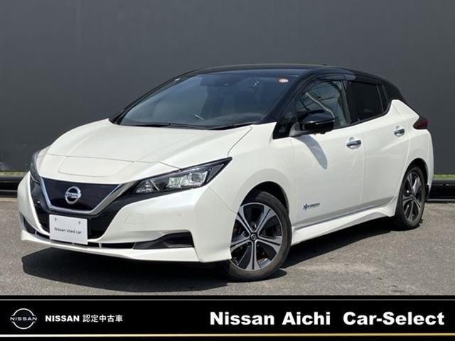 リーフ  X Vセレクション