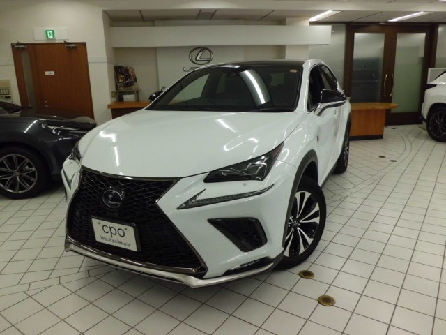 NX 300h Fスポーツ 