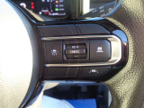 クルーズコントロール付