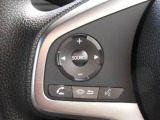 オーディオ操作、ハンズフリー機能スイッチもハンドルに装備しています。画面タッチしなくても操作できますので、運転に集中できます。