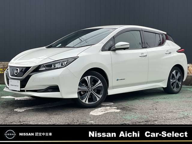 リーフ  X Vセレクション