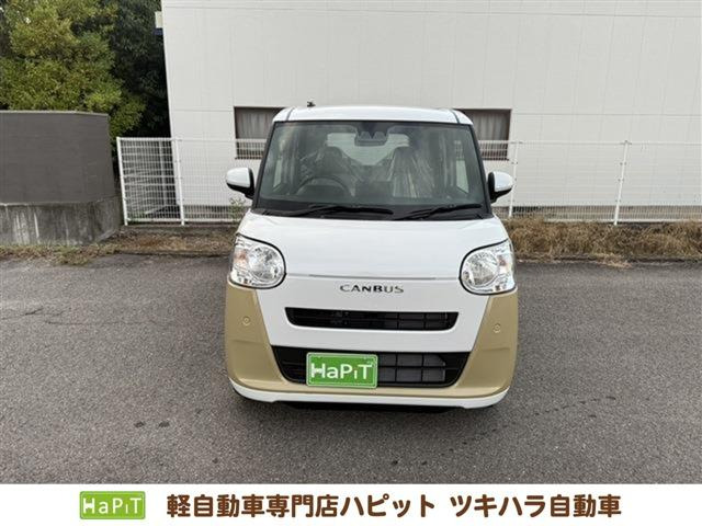 ムーヴキャンバス  ストライプス X