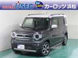 個性的でアクティブなデザインの軽SUV!