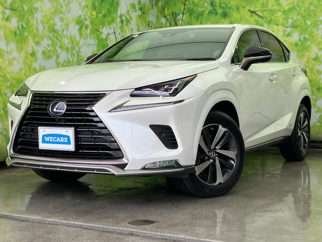 NX 300h スパイス&シック 