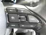 ステアリングスイッチでクルーズコントロール機能の操作ができます。長距離の高速走行時の疲労軽減や燃費に役立ちます。