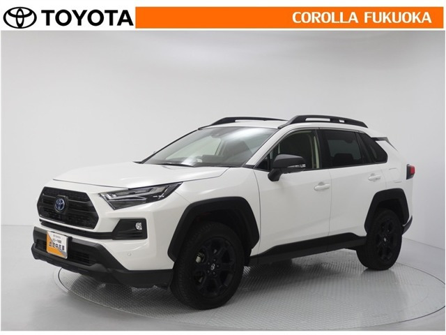 RAV4 2.5 ハイブリッド アドベンチャー オフロードパッケージ II E-Four 4WD 