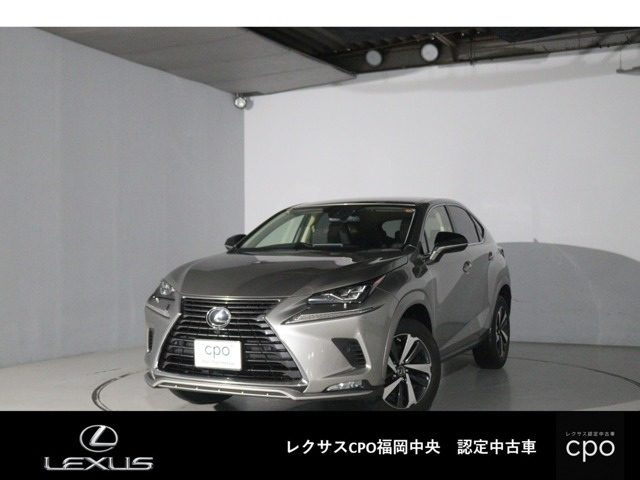 NX 300 スパイス&シック