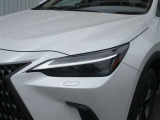 NX 250 バージョンL NX 250 バージョンL