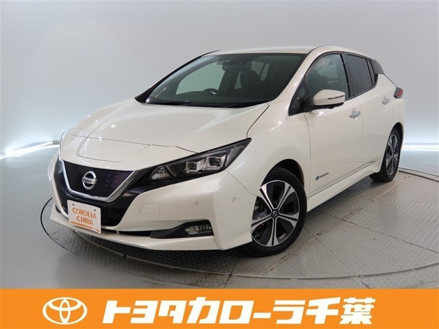 リーフ G 