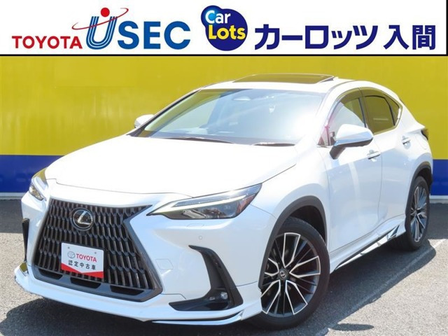 NX 250 バージョンL NX 250 バージョンL