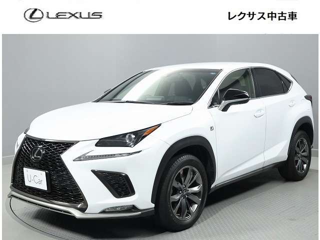 NX 300 Fスポーツ 