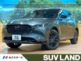 禁煙車 4WD 10型ナビ 全周囲カメラ レーダークルーズ ETC