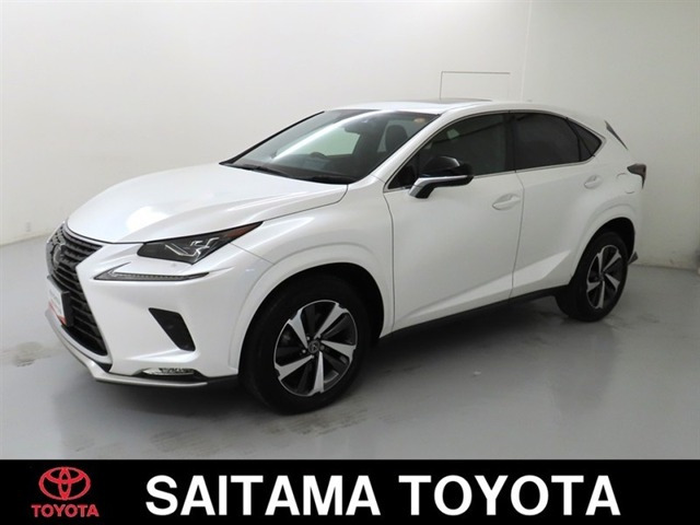 NX 300 スパイス&シック