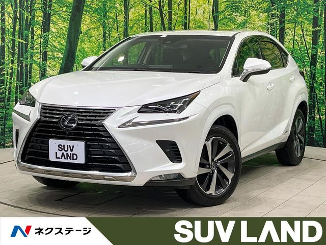 NX 300h バージョンL 