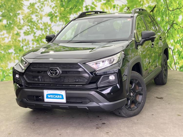 RAV4 2.0 アドベンチャー オフロードパッケージ II 4WD 