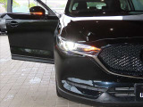 アダプティブLEDヘッドライト カメラや車速センサーと連動して、ハイ、ロー、ワイドローのLEDライトを常に最適な配光に自動制御する優れものです!