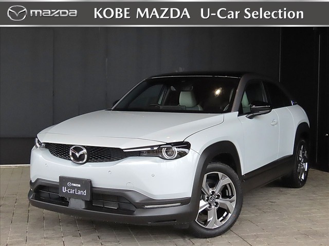 MX-302.0 モダン コンフィデンス