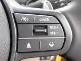 多彩な安心・快適機能を搭載した先進の安全支援システム「HondaSENSING」の操作スイッチです。