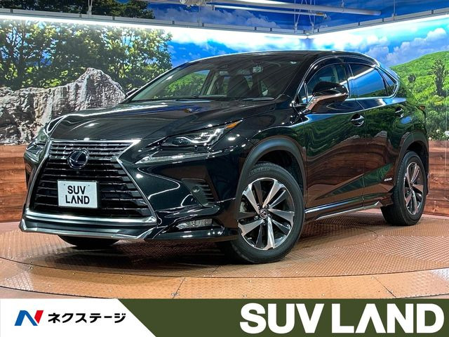 NX 300h Iパッケージ 