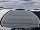 ボンネット1cm〜5cmほどのへこみが複数ある車両となっております。