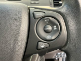 アクセルから足を離しても設定したスピードを保ち走行し、高速道路での疲労軽減に役立つクルーズコントロール付きです!